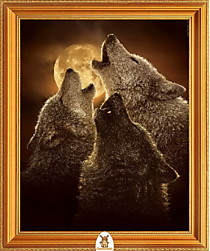 "Три волка воют на луну" Арт."МЖ0809"