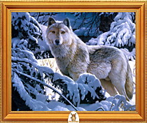 "Белый волк в снежном лесу" Арт."МЖ0817"