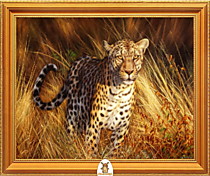 "Леопард в саванне" Арт."МЖ0835"