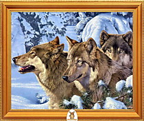"Три волка в снегу" Арт."МЖ0862"