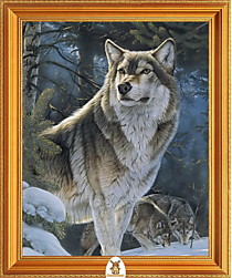 "Волк смотрит в сторону в лесу" Арт."МЖ0892"
