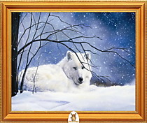 "Белый волк лежит в снегу" Арт."МЖ0893"