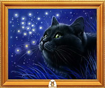 "Черный кот синей ночью" Арт."МЖ1058"