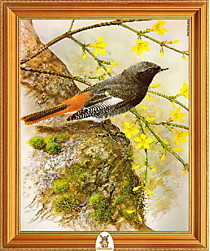 "Птица с оранжевым хвостом на дереве" Арт."МЖ1832"