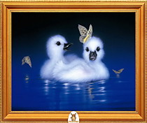 "Два маленьких лебедя  в озере" Арт."МЖ1896"