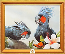 "Два попугая рядом с белым цветком" Арт."МЖ1952"