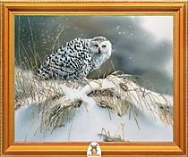"Полярная сова сидит на снегу" Арт."МЖ1961"