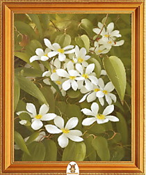 "Белые мелкие цветы на кустах" Арт."МЖ2123"