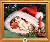 "Коты спят в шапке Деда Мороза" Арт."МЖ2849"